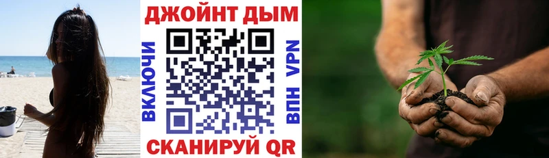 Бошки марихуана конопля  Фокино 